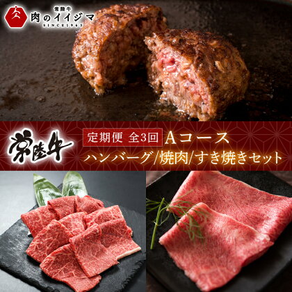 【定期便 全3回】常陸牛 3ヶ月 定期便 Aコース ハンバーグ 4個 無添加 冷凍　焼き肉 焼肉 すき焼き ギフト セット プレゼント 黒毛和牛 ふるさと納税 定期便 肉【肉のイイジマ】 茨城県 水戸市(DU-103)