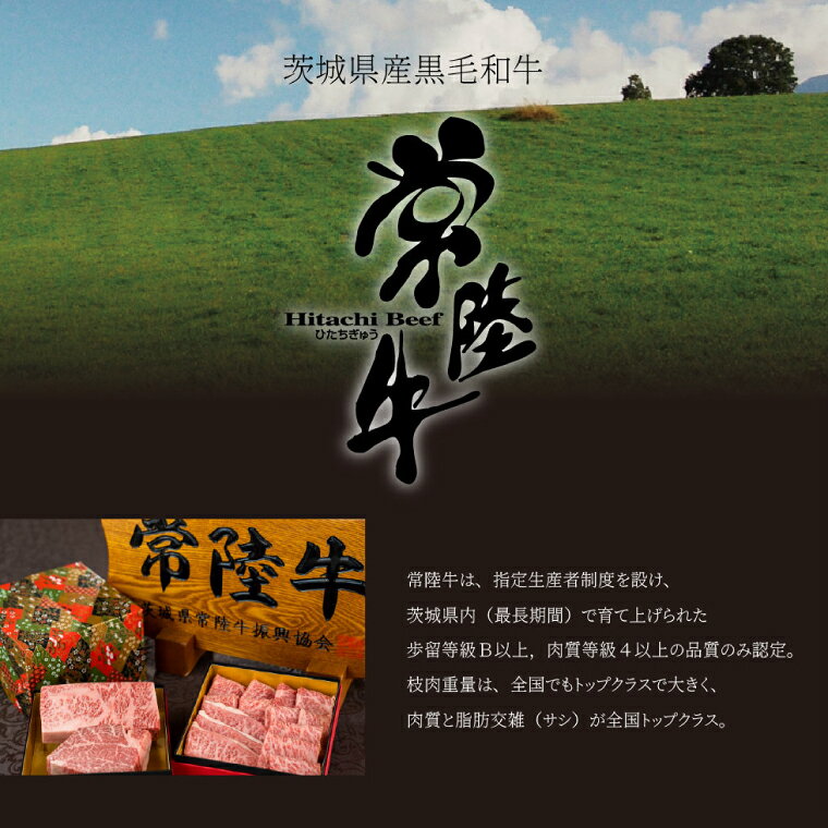茨城県水戸市の画像3