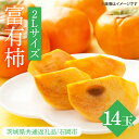 8位! 口コミ数「0件」評価「0」【先行予約】【期間限定】富有柿 2L 14玉【茨城県共通返礼品/石岡市】(IU-4)