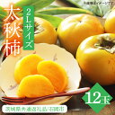 【ふるさと納税】【先行予約】【期間限定】太秋柿 2L 12玉【茨城県共通返礼品/石岡市】(IU-5)