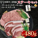 【ふるさと納税】【常陸牛 A5ランク・美明豚ステーキセット】常陸牛サーロインステーキ200g+美明豚ロースステーキ280g(140g×2枚) 冷凍 国産牛 和牛 牛肉 豚肉 ブランド豚 茨城県 水戸市 食べ比べ セット商品 国産 15000円 老舗精肉店 EK-18