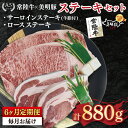 【ふるさと納税】【6ヶ月定期便】【常陸牛 A5ランク・美明豚ステーキセット】常陸牛サーロインステーキ600g(300g×2枚)+美明豚ロースステーキ280g(1...