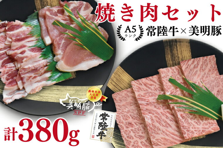 [常陸牛A5ランク・美明豚焼肉セット]常陸牛カルビ180g+美明豚200g(ロース100g・ばら100g)(EK-22)