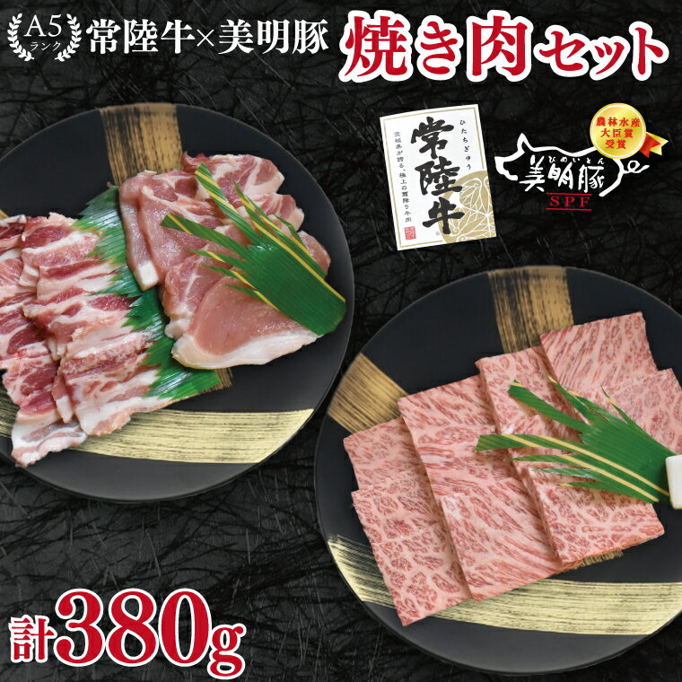 [常陸牛 A5ランク・美明豚焼肉セット]常陸牛カルビ180g+美明豚200g(ロース100g・ばら100g) 冷凍 国産牛 和牛 牛肉 豚肉 ブランド豚 茨城県 水戸市 食べ比べ セット商品 国産 BBQ 10000円以内 老舗精肉店