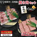 【ふるさと納税】【6ヶ月定期便】【常陸牛 A5ランク・美明豚焼肉セット】常陸牛カルビ180g+美明豚200g(ロース100g・ばら100g) 冷凍 国産牛 和牛 牛肉 豚肉 ブランド豚 茨城県 水戸市 食べ比べ セット商品 国産 BBQ 老舗精肉店(EK-22_2)