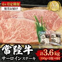 【ふるさと納税】【6か月定期便】【常陸牛 A5ランク】サーロインステーキ 600g(300g×2枚) 冷凍 国産牛 和牛 牛肉 茨城県 水戸市 国産 老舗精肉店...
