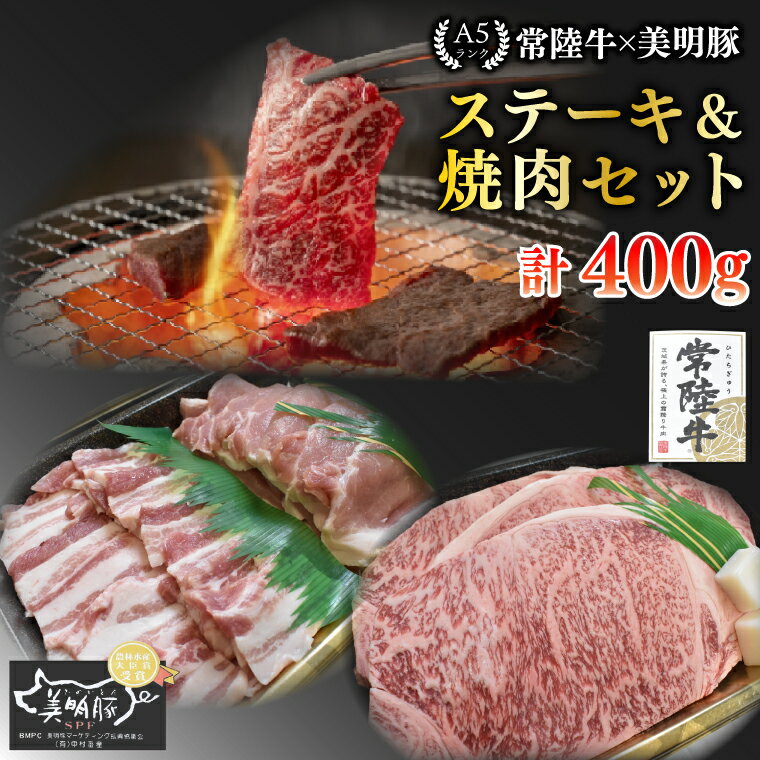 【ふるさと納税】【常陸牛 A5ランク・美明豚ステーキ焼肉セット】常陸牛サーロイン200g+美明豚200g(ロース100g・ばら100g) 冷凍 国産牛 和牛 牛肉 豚肉 ブランド豚 茨城県 水戸市 食べ比べ セット商品 国産 BBQ 15000円以内 老舗精肉店 EK-34