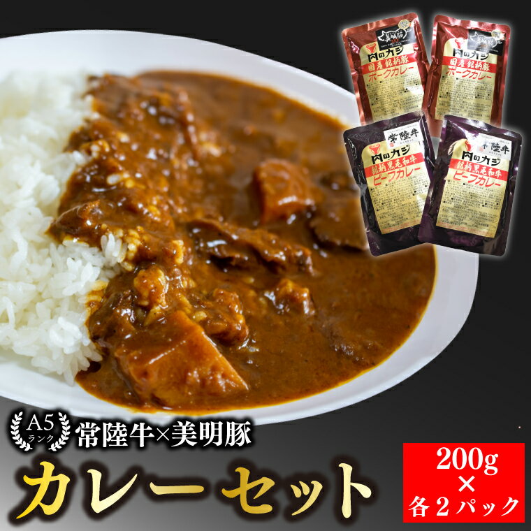 [美明豚]カレー2パック 国産牛 和牛 牛肉 豚肉 ブランド豚 茨城県 水戸市 レトルト 食品 食べ比べ セット商品 国産 10000円以内 老舗精肉店