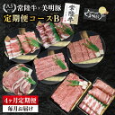 【ふるさと納税】【4か月定期便】A5ランク常陸牛&美明豚 食べ比べ 定期便コースB|すき焼き しゃぶしゃぶ 焼肉 BBQ ステーキ 国産牛 和牛 牛肉 豚肉茨城県 水戸市 国産 老舗精肉店(EK-82)