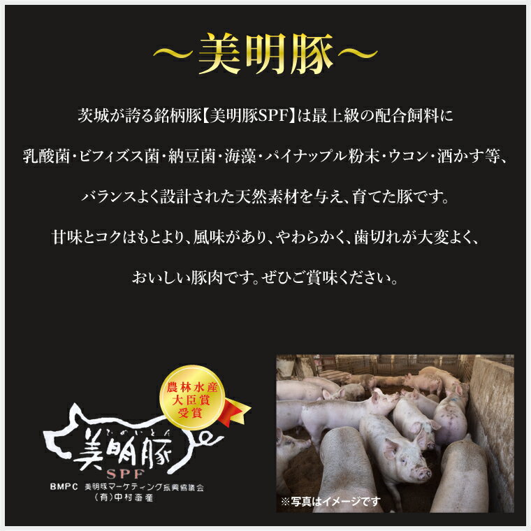 【ふるさと納税】【美明豚】焼肉用300g（ロース150g・ばら150g）【冷凍 甘味 国産豚 茨城県 水戸市 国産 銘柄豚】(EK-91)