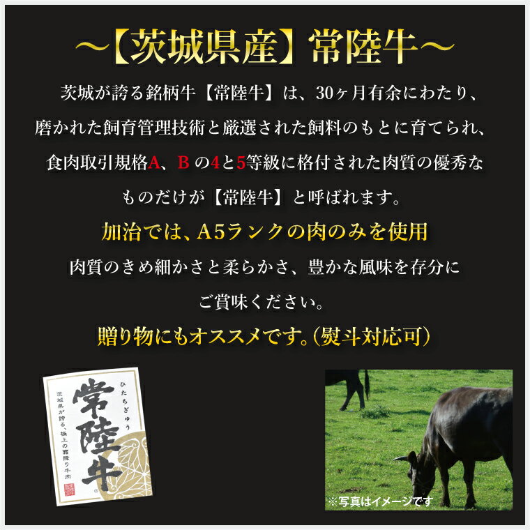 【ふるさと納税】【常陸牛 A5ランク・美明豚ステーキセット】常陸牛サーロインステーキ600g（300g×2枚）＋美明豚ロースステーキ280g（140g×2枚） 冷凍 国産牛 和牛 牛肉 豚肉　ブランド豚 茨城県 水戸市 食べ比べ セット商品 国産 35000円以内 老舗精肉店 EK-20