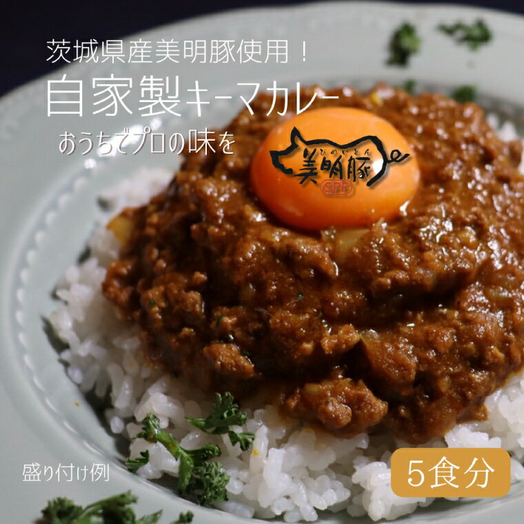 [5個入]カレー好き必見!絶品キーマカレーBOX(DE-3)