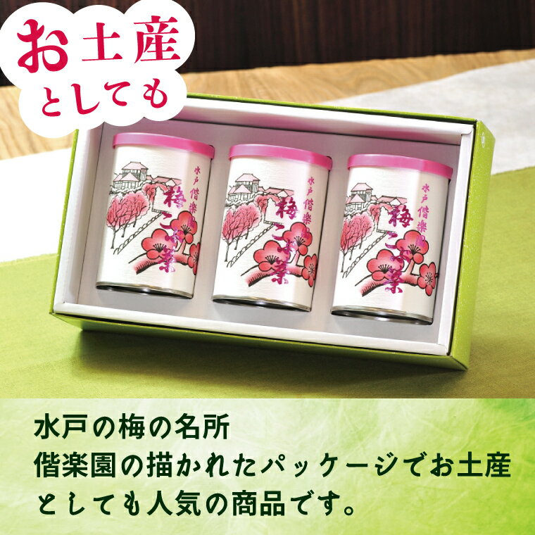 茨城県水戸市の画像2