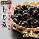 【ふるさと納税】涸沼のプリップリ中粒冷凍しじみ(砂抜き済)【蜆 シジミ 10000円以内 クール すなぬき 味噌汁 栄養 貝汁 贈り物 ギフト 水戸市】(BJ-...