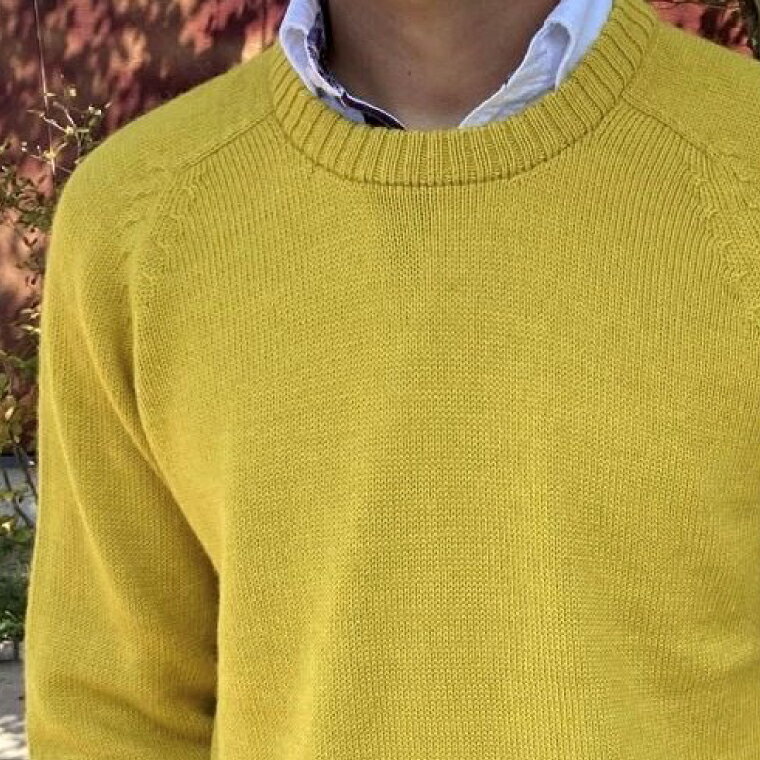 【ふるさと納税】【アルパカ専門店　TIKA】ラグランセーター・からし・男女兼用（アルパカ100％）【アパレル イエロー系 ウィメンズ 毛糸 大きめサイズ 茨城県 水戸市 ギフト プレゼント】 (AL-9)