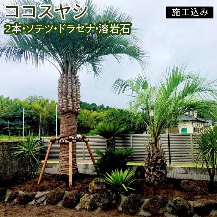 【ふるさと納税】ココスヤシ　2本・ソテツ・ドラセナ・溶岩石【施工込み】※2023年3月中旬〜10月中旬頃に順次発送予定※北海道・東北・北関東(一部)・沖縄・離島への配送不可（AU-3）