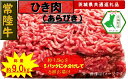 【ふるさと納税】【6か月定期便】【常陸牛】ひき肉(あらびき)約1.5kg【定期便】計6回 総量約9kg(茨城県共通返礼品)【常陸牛 茨城県産 日立市】