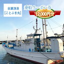 【ふるさと納税】G−10 茨城県日立市 会瀬漁港【ことぶき丸】で使えるクーポン券(12000円分)【乗船券 クーポン券 茨城県 日立市】