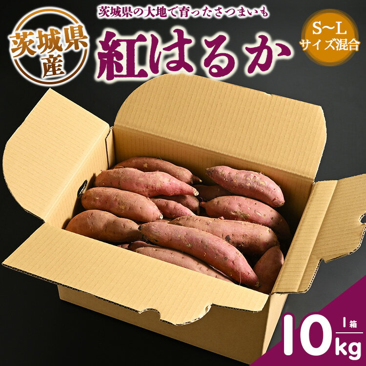 5位! 口コミ数「4件」評価「5」生芋　10kg　S～Lサイズ混合　1箱 いも長 | さつまいも いも 生いも 紅はるか 国産※着日指定不可※離島への配送不可※2024年1月･･･ 