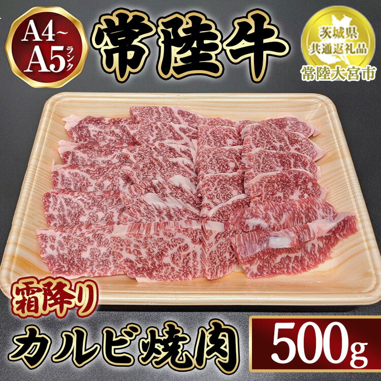 【ふるさと納税】瑞穂農場で育てた常陸牛カルビ焼肉500g【茨城県共通返礼品　常陸大宮市】　※離島への配送不可