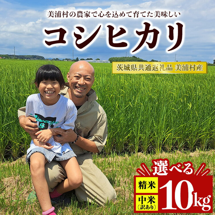 【ふるさと納税】\選べる種類/【令和7年産】コシヒカリ 精米 10kg【茨城県共通返礼品 美浦村産】| 中米 訳あり 規格外 こしひかり 白米 ※離島への配送不...