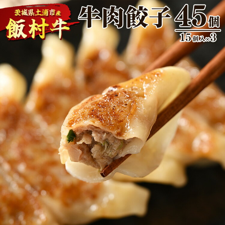 牛肉餃子 45個(15個入り×3) | 餃子 ギョウザ ぎょうざ 冷凍 冷凍食品 蒸し焼き 簡単調理 お弁当 おかず おつまみ 惣菜 肉 牛肉 和牛 ビーフ※着日指定不可※離島への配送不可