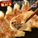 【ふるさと納税】牛肉餃子　90個（15個入り×6） ｜ 餃子 ギョウザ ぎょうざ 冷凍 冷凍食品 蒸し焼き 簡単調理 お弁当 おかず おつまみ 惣菜 肉 牛肉 和牛 ビーフ※着日指定不可※離島への配送不可 1