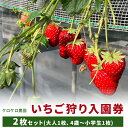 8位! 口コミ数「0件」評価「0」いちご狩り入園券2枚セット(大人1枚、4歳〜小学生1枚)◇※離島への配送不可