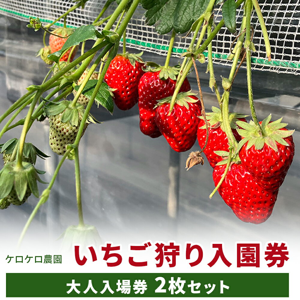 いちご狩り大人入園券2枚セット◇※離島への配送不可