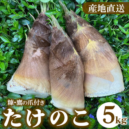 農園直送!たけのこ 5kg（糠・鷹の爪付）※北海道・沖縄・離島への配送不可