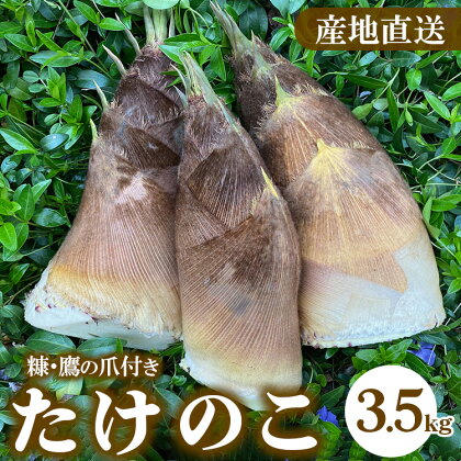 農園直送!たけのこ 3.5kg（糠・鷹の爪付）※北海道・沖縄・離島への配送不可