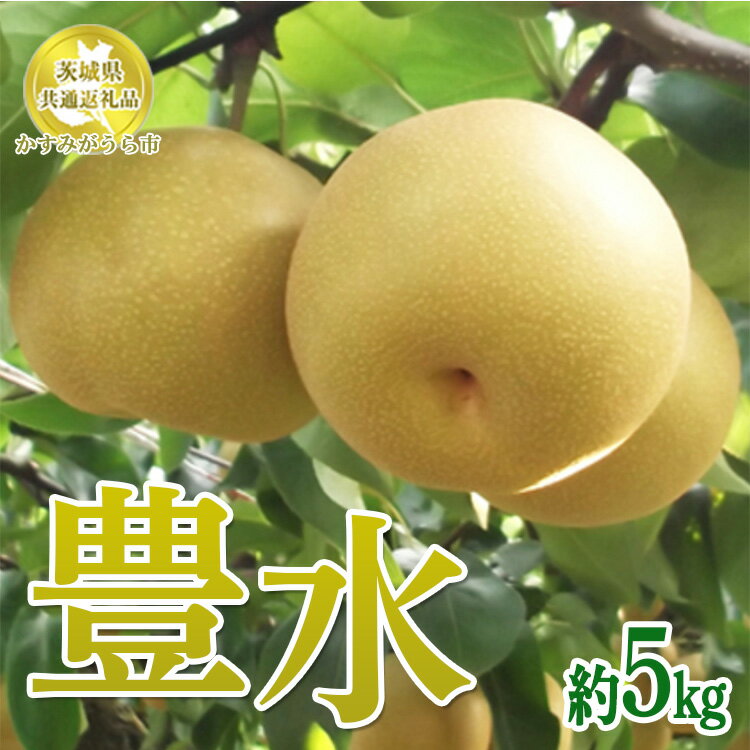 【ふるさと納税】【先行予約限定】 茨城県産【豊水梨】約5kg