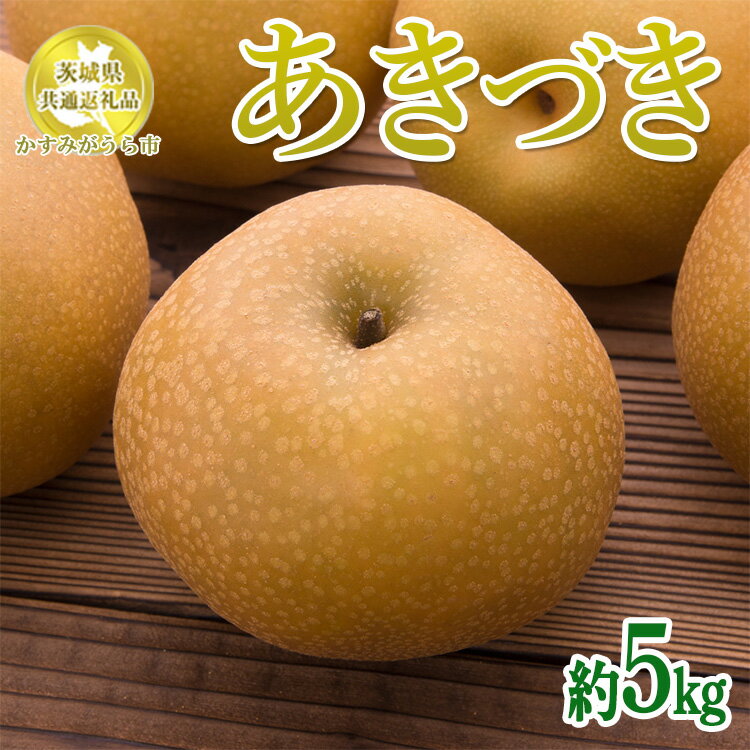 【ふるさと納税】【先行予約限定】 茨城県産【あきづき梨】約5