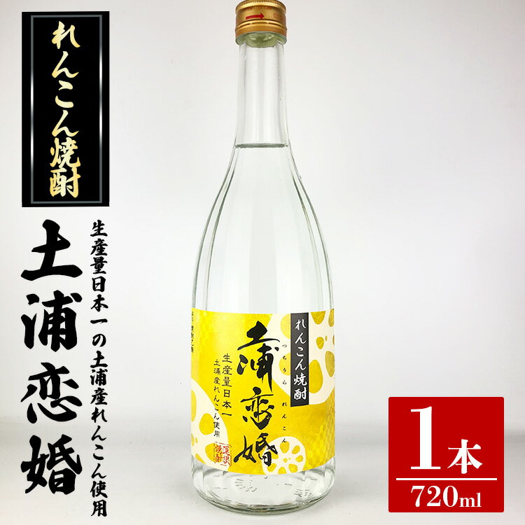 れんこん焼酎 土浦恋婚※着日指定不可※離島への配送不可