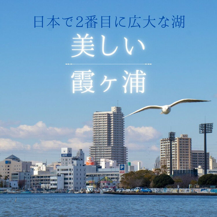 【ふるさと納税】茨城県土浦市の対象施設で使える楽天トラベルクーポン寄付額40,000円【 宿泊予約 rakutenトラベル 旅行 宿泊券 観光 茨城県 土浦市 】