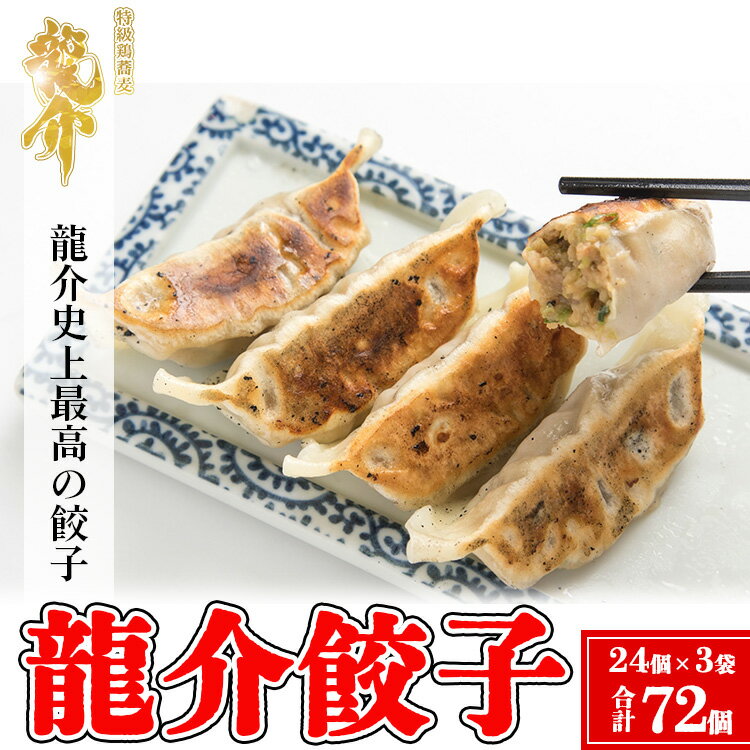 龍介餃子【24個入り×3袋セット】※着日指定不可※離島への配送不可