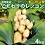 【ふるさと納税】こだわりのレンコン4kgギフト 産地直送 茨城県 土浦市産 れんこん 蓮根 シャキシャキ 甘み 送料無料※着日指定不可※離島への配送不可 10,000円