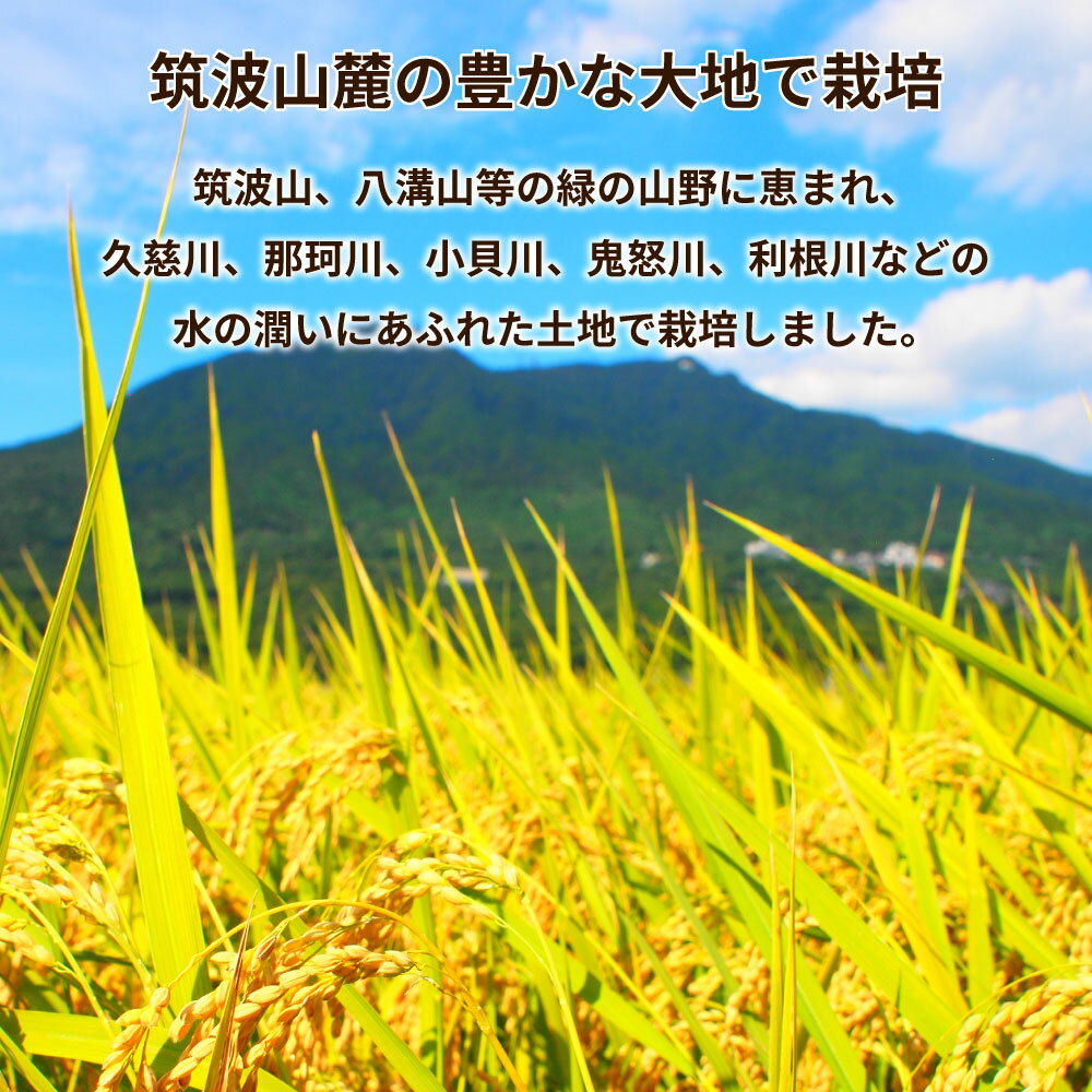 【ふるさと納税】令和5年産茨城県産コシヒカリ・あきたこまち 精米 お米詰合せ 合計20kg (5kg×各2袋)※離島への配送不可