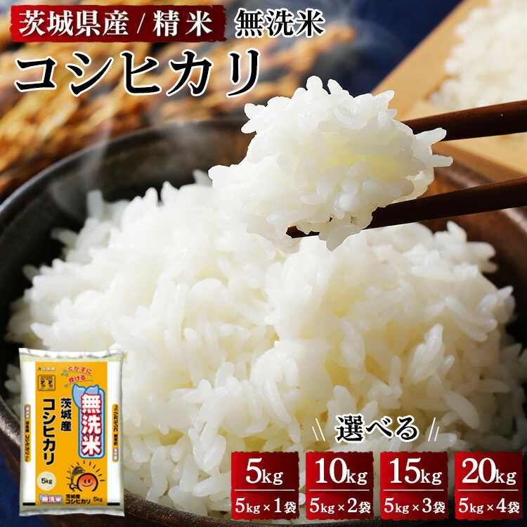 【ふるさと納税】令和5年産 茨城県産 無洗米コシヒカリ 精米※着日指定不可※離島への配送不可