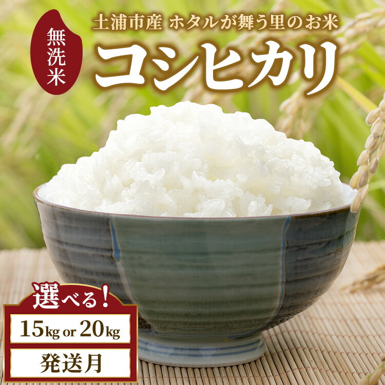 [選べる容量・発送月]令和7年産 土浦市産 コシヒカリ 無洗米 ホタルが舞う里のお米 ※離島への配送不可