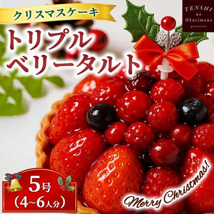 【ふるさと納税】クリスマスケーキ トリプル ベリー タルト 5号 4-6人分 パティスリー天使のおくりもの ※離島への配送不可 ※2025年12月上旬〜12月下...