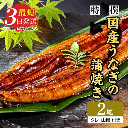 【父の日・母の日】特撰 国産うなぎの蒲焼き2尾【最短3日発送】国産のブランド鰻を茨城県土浦市の職人が手間を惜しまず一つ一つ丁寧に作り上げた美味しい蒲焼きをぜひご賞味ください！※離島への配送不可