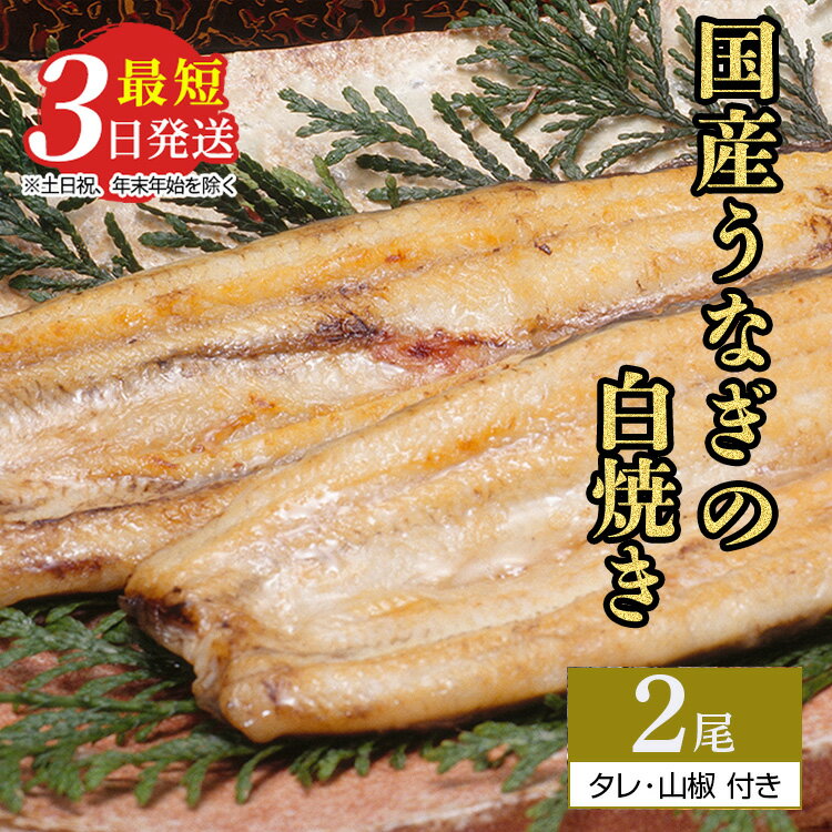 【ふるさと納税】うなぎ白焼き　2尾（120g以上×2尾） | メディアに紹介されたうなぎ屋 国産 冷蔵 うなぎ 鰻 ウナギ タレ・山椒つき しら焼き 土用丑の日※着日指定不可※離島への配送不可