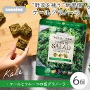 【ふるさと納税】野菜を補うグラノーラ(ケール)6個セット【茨城県産有機ケール使用】人工甘味料不使用 グルテンフリー※離島への配送不可