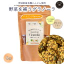 9位! 口コミ数「0件」評価「0」野菜を補うグラノーラ(にんじんSavory）6個セット【茨城県産有機にんじん使用】人工甘味料不使用　グルテンフリー※離島への配送不可