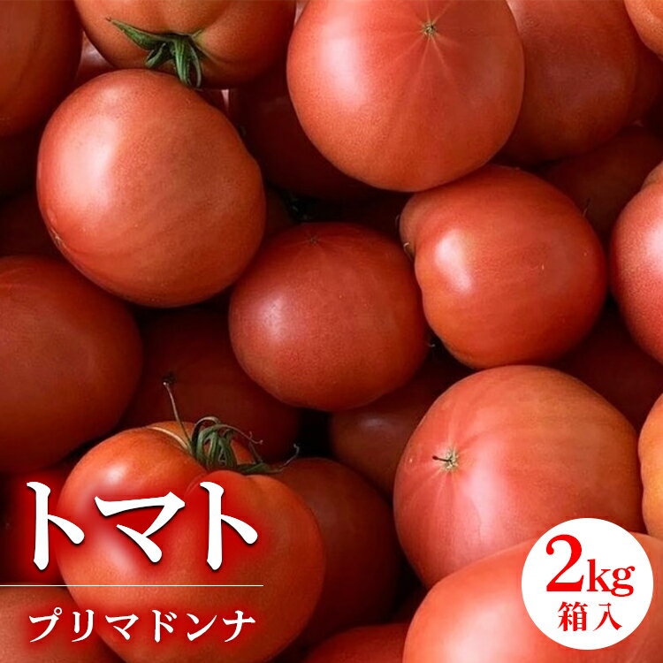 8位! 口コミ数「0件」評価「0」トマト プリマドンナ ギュッと美味しさ詰まった大玉トマト 2kg箱入 ※離島への配送不可 ※2024年3月下旬～8月頃に順次発送予定