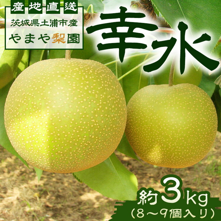 【ふるさと納税】【先行予約】幸水約3kg（8～9個入り）　※