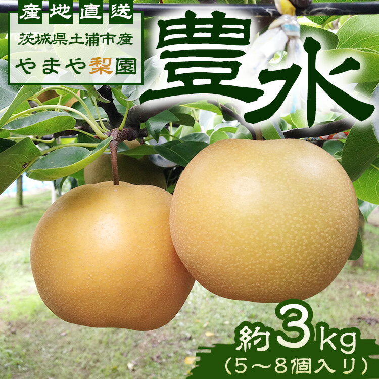 【ふるさと納税】【先行予約】豊水約3kg（5～8個入り）　※2024年8月下旬～9月上旬頃に順次発送予定【茨城県産】　※離島への配送不可