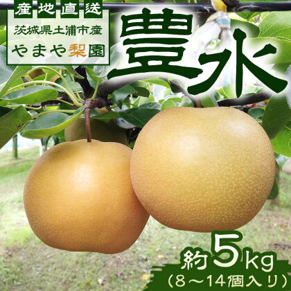 【先行予約】豊水約5kg（8～14個入り）　※2024年8月下旬～9月上旬頃に順次発送予定【茨城県産】　※離島への配送不可