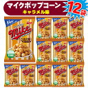 【ふるさと納税】【 マイクポップコーン 】 キャラメル味 12袋 | スナック 菓子 お菓子 おかし おやつ おつまみ つまみ スナック菓子 ジャパンフリトレー...